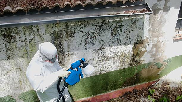 Top rated local Hvac And Air Duct Mold Remediation specialists in Puyallup, WA